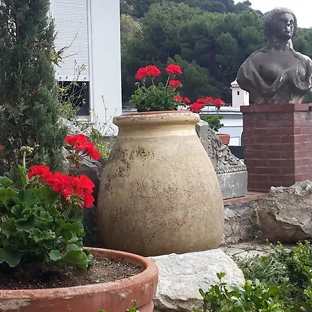 Bed & Breakfast Casa Del Solitario 3*